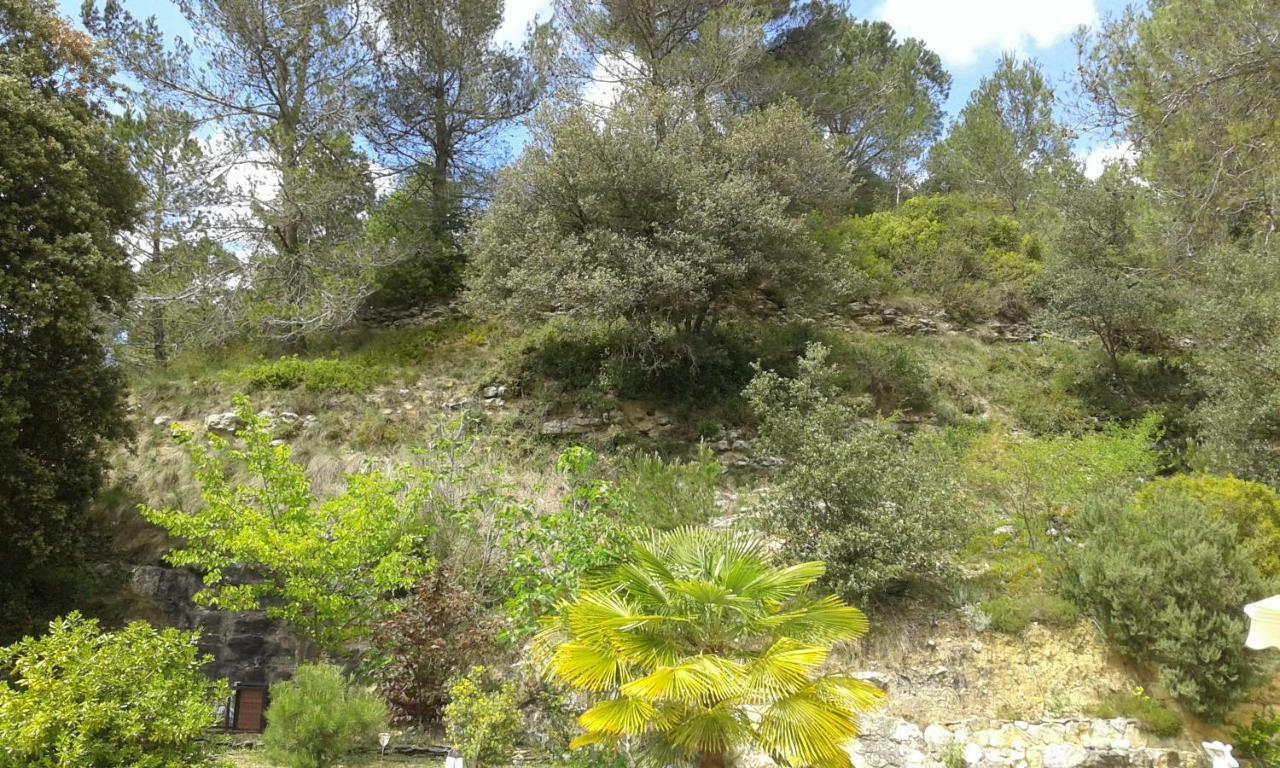 Gite Sud De France-Carcassonne Chez Lea Aragon Экстерьер фото